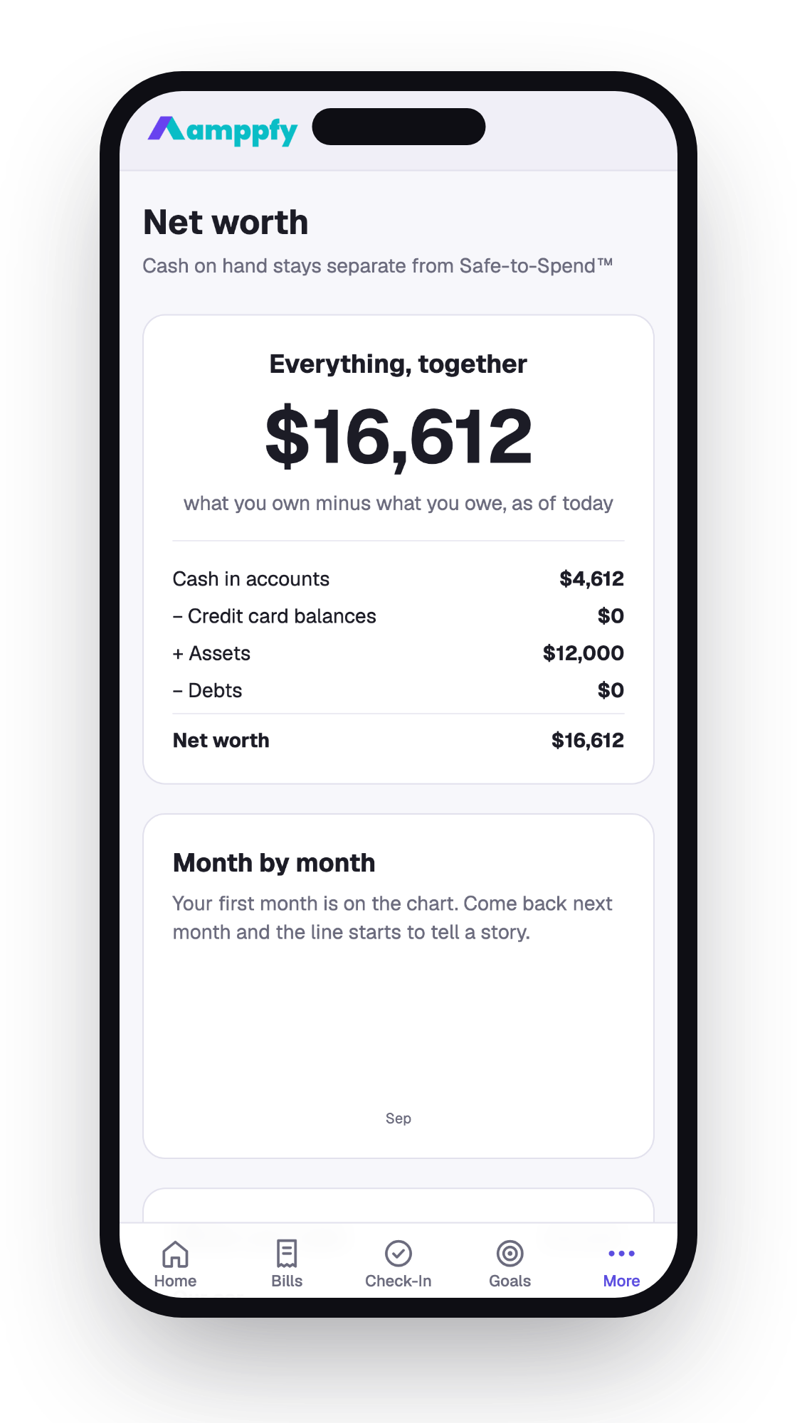 Net worth on iPhone — everything together, cash minus card balances plus assets minus debts